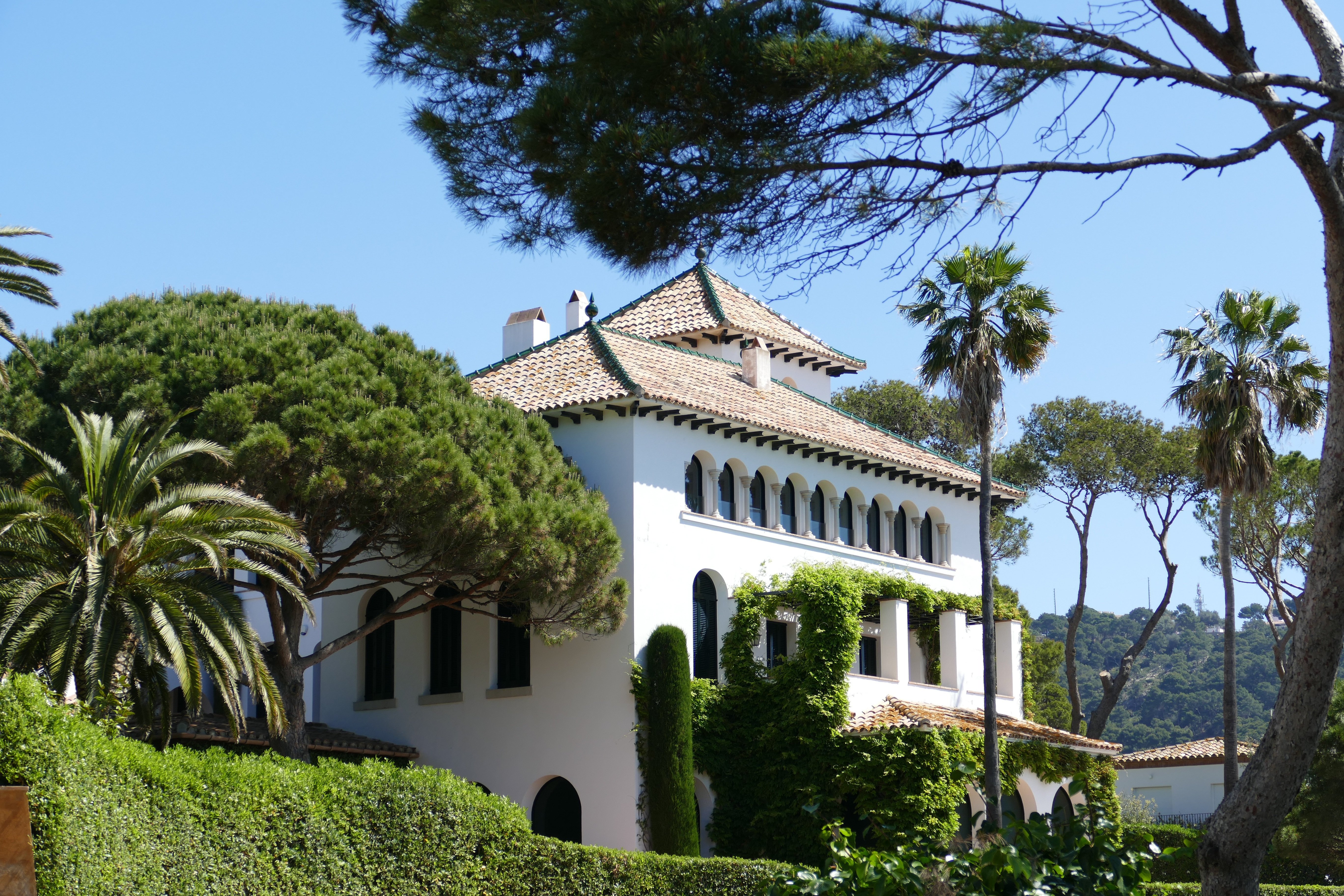 Mediterranean villa among pine trees