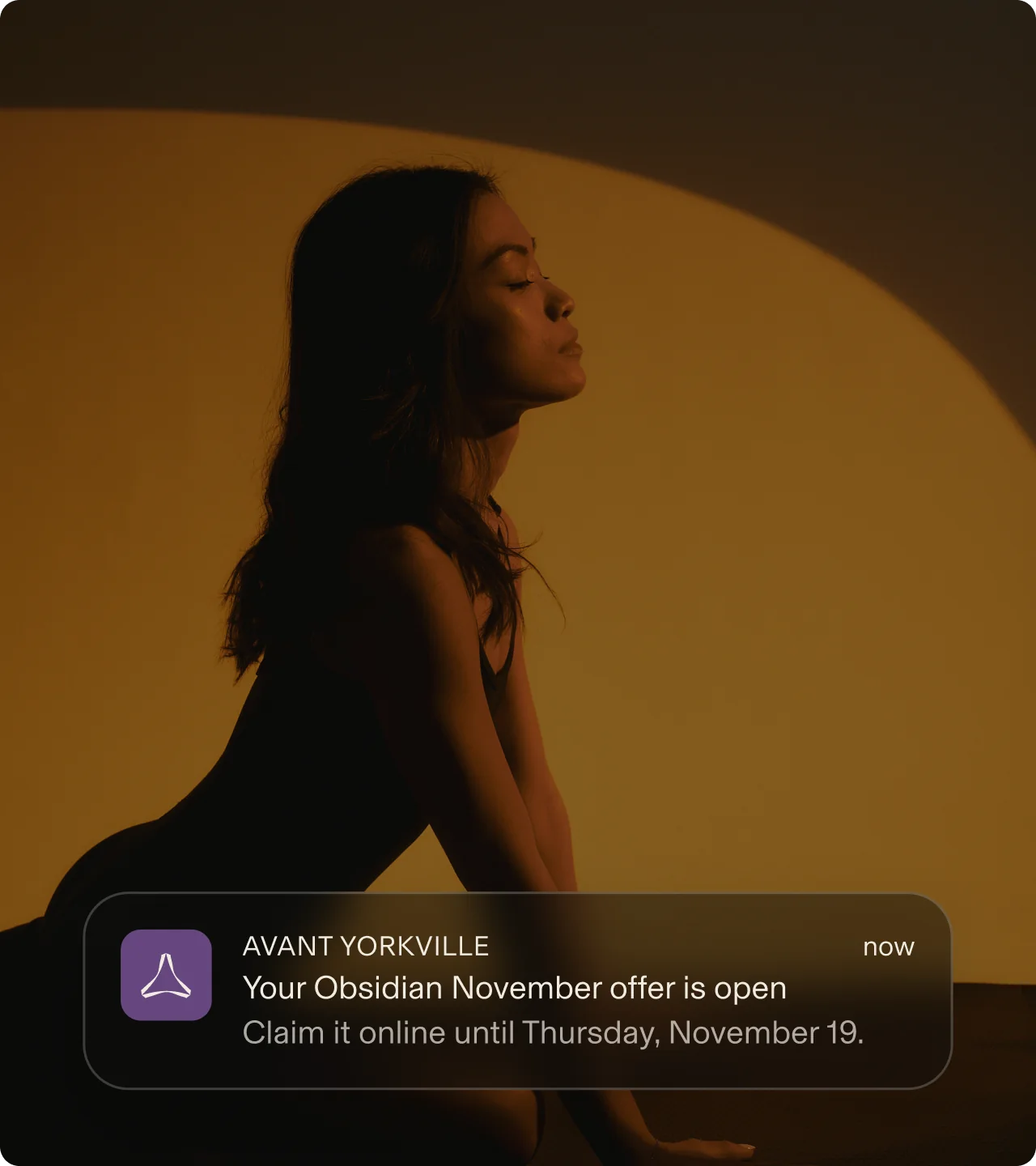 An AVANT Yorkville wallet notification: your Obsidian November offer is open