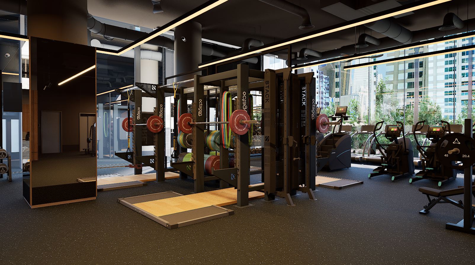 Racks and cardio by the windows on the AVANT training floor
