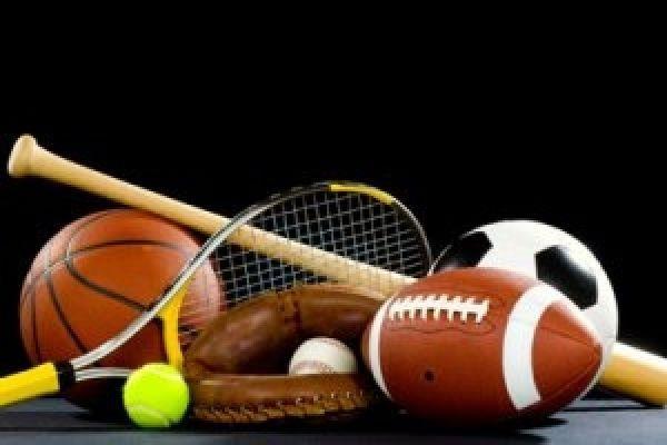 HSHM student athletics