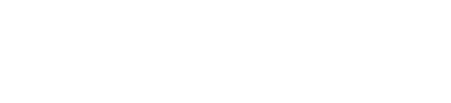 Data Expert logo