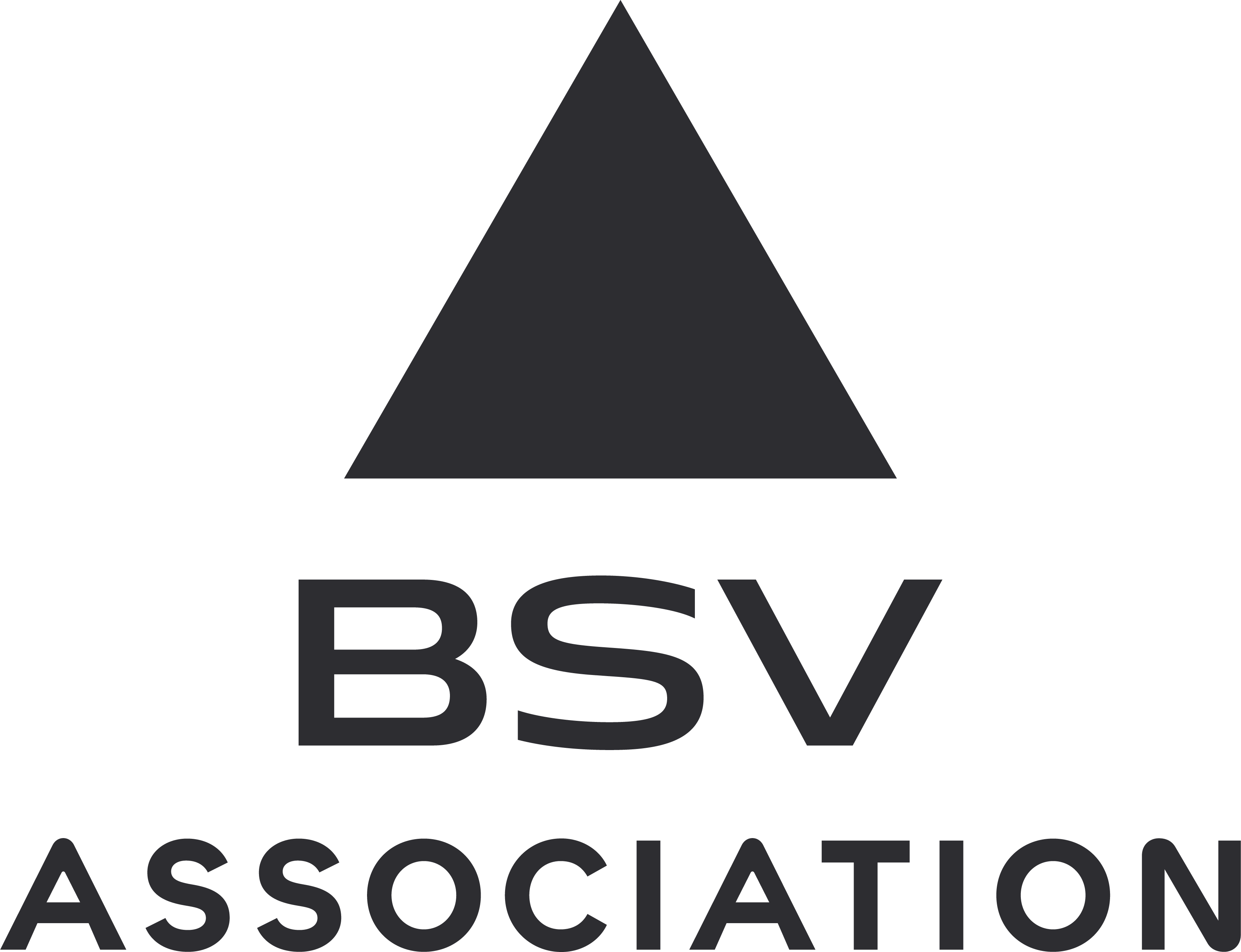 BSV Association logo
