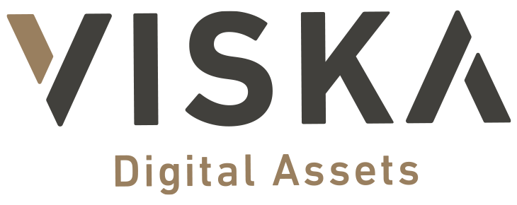 Viska Digital logo