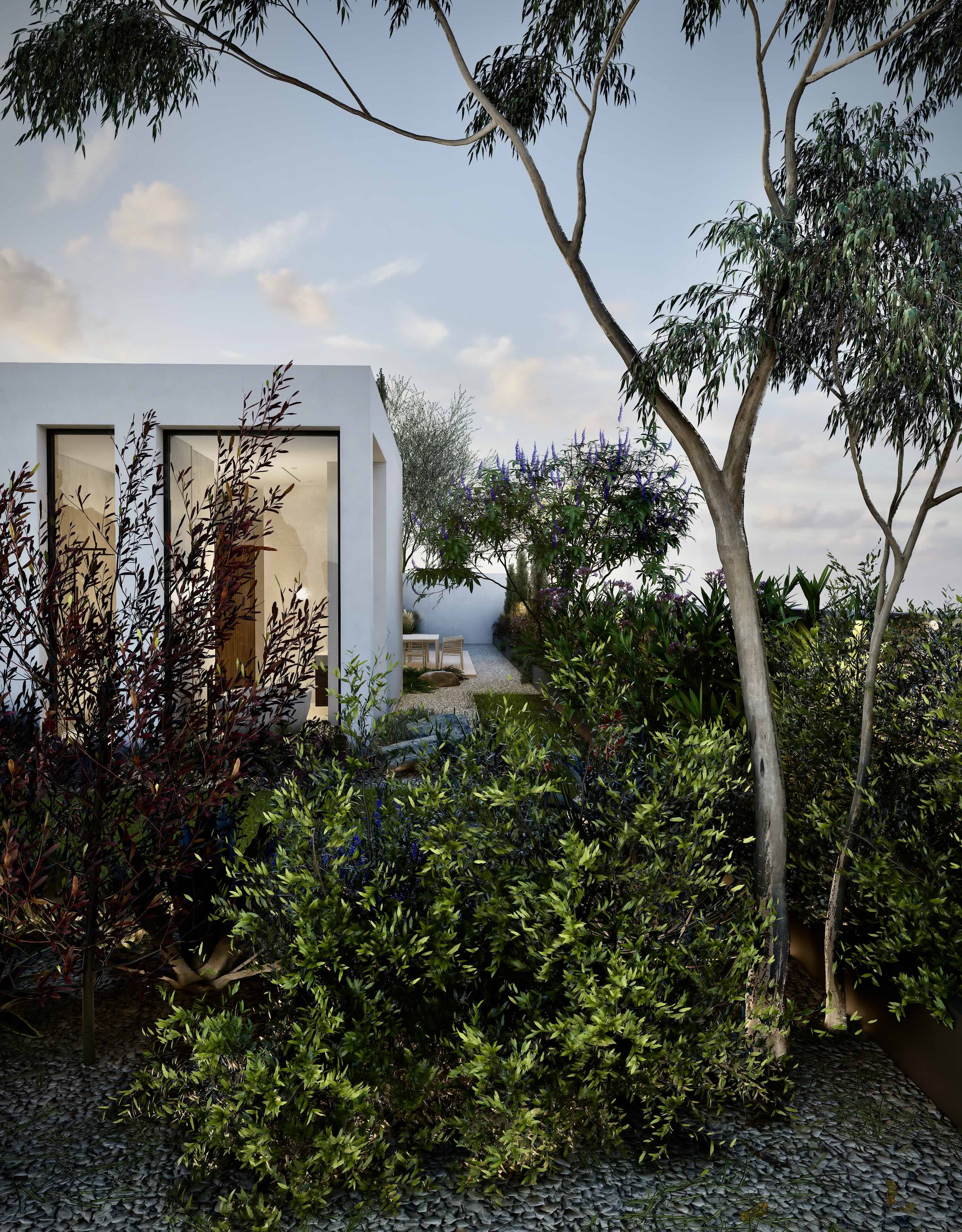 Layered garden planting and a gravel pathway beside Santa Rosa Courtyard House, framed by mature trees.