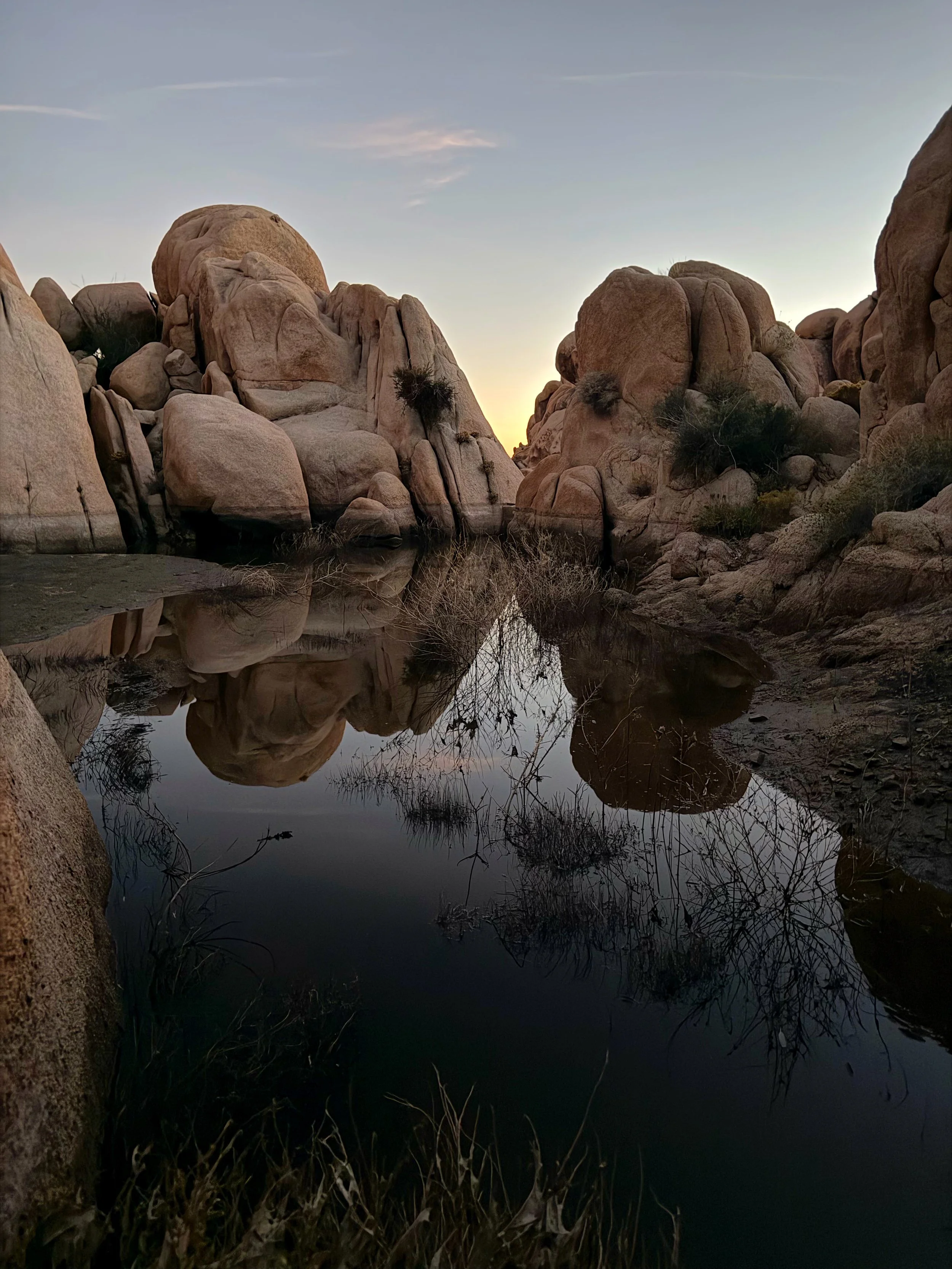 What the Desert Teaches Us