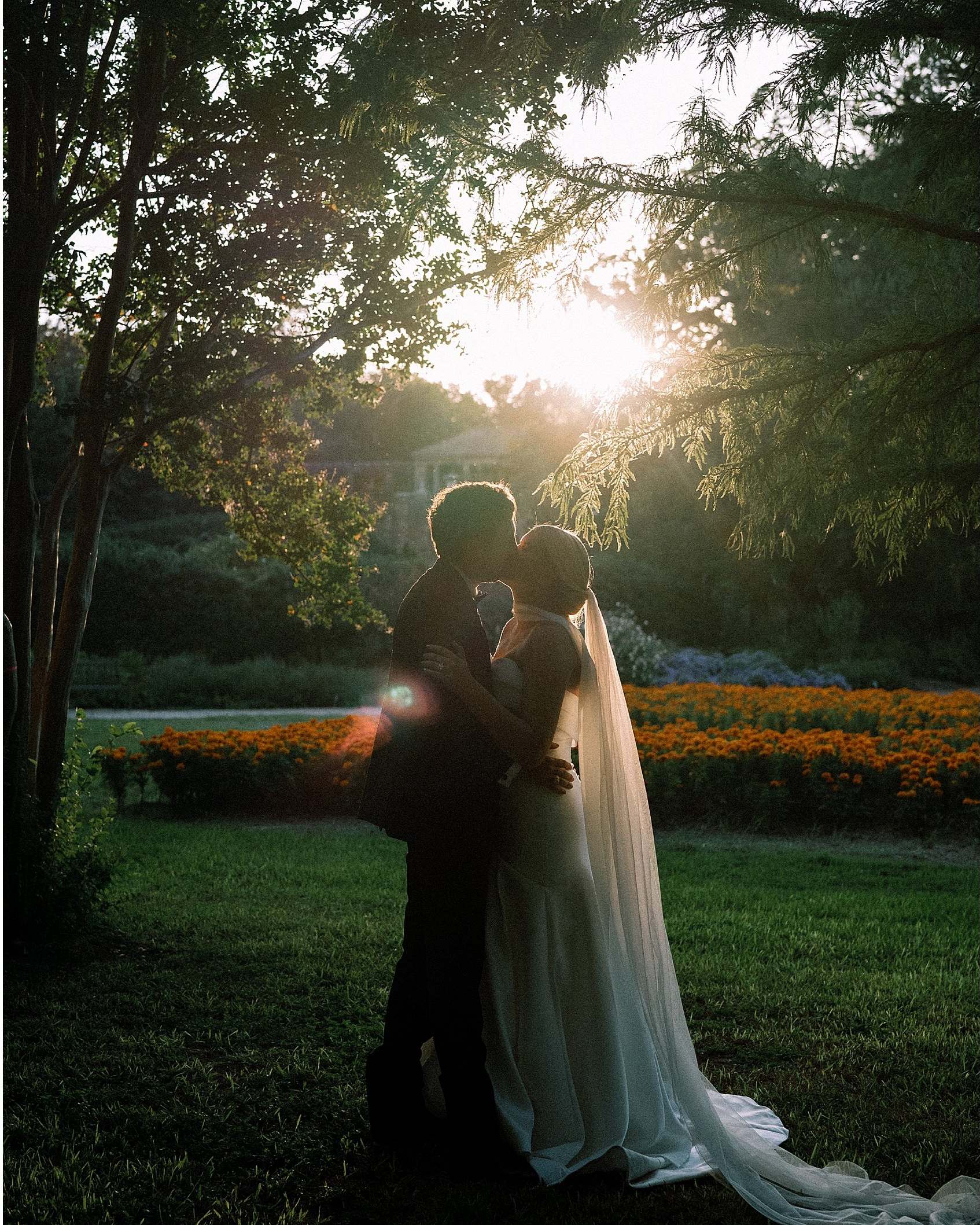 A couple embracing at sunset, backlit, in a garden.
