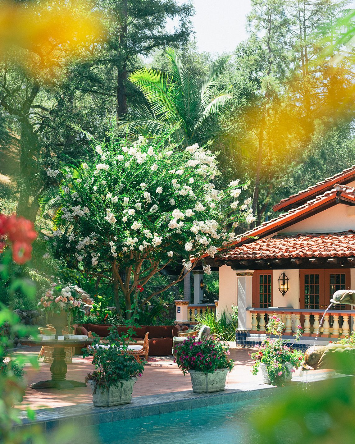 A courtyard garden with a pool, flowering shrubs and a red-tiled villa
