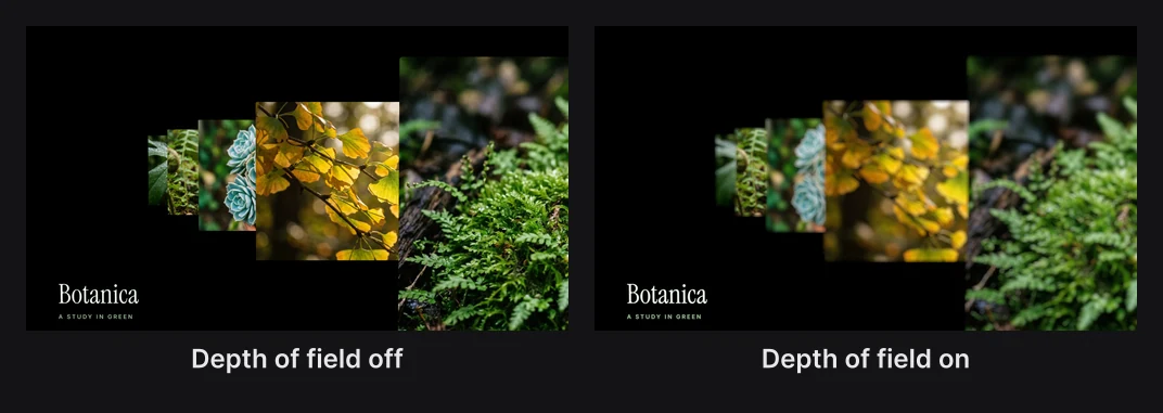 The Depth rack template with depth of field off, everything sharp, and on, with parts of the picture soft