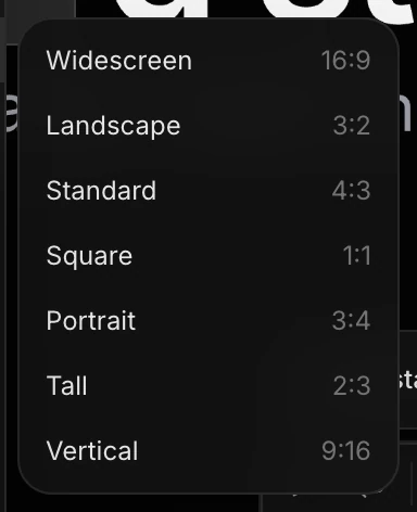 The Aspect ratio submenu: Widescreen, Landscape, Standard, Square, Portrait, Tall and Vertical