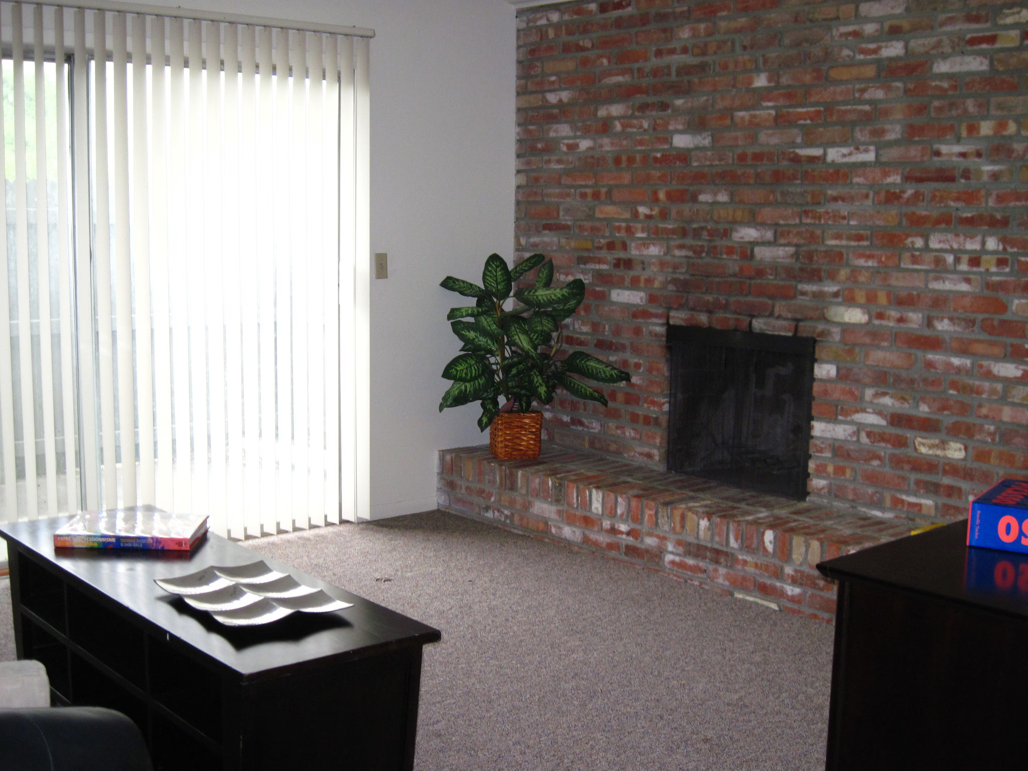 Living area with fireplace