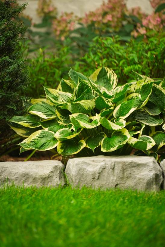 Little Schoolhouse Garden Design