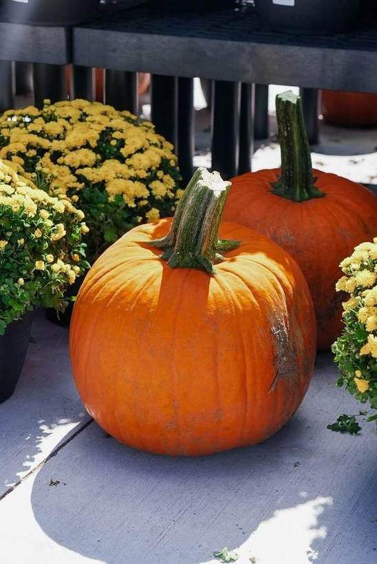 Gananoque Home Hardware