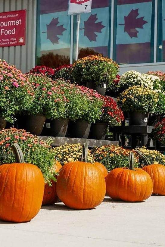 Gananoque Home Hardware