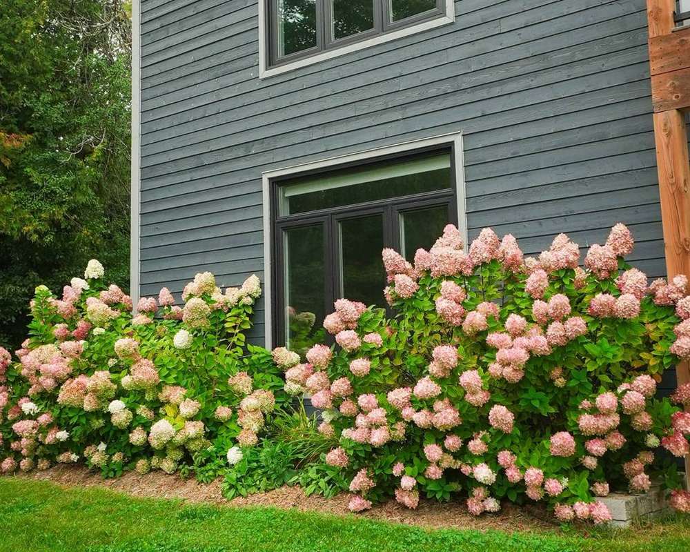 A garden designed by Little Schoolhouse Garden Design