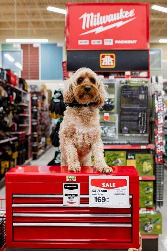 Perth Home Hardware