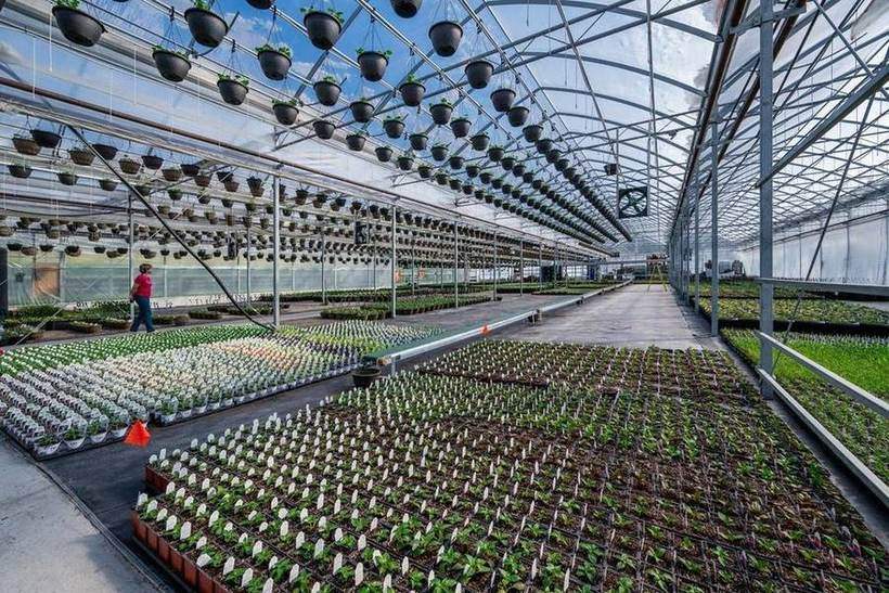 Sun Harvest Greenhouses