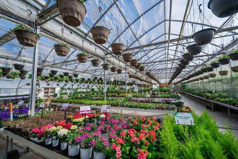 Sun Harvest Greenhouses