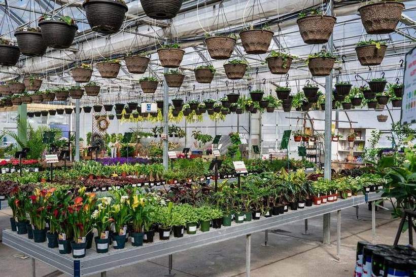 Sun Harvest Greenhouses