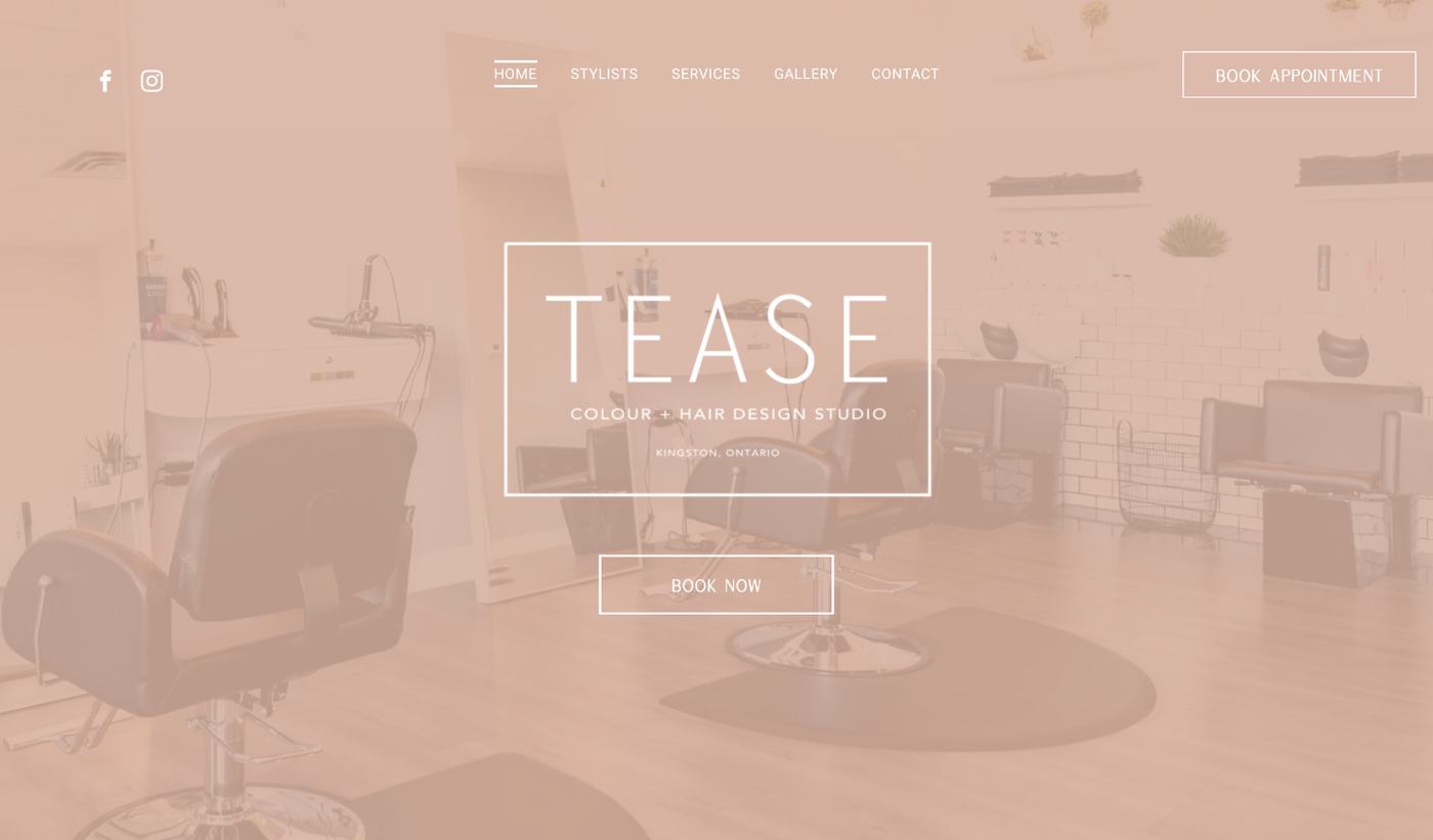 Tease Colour & Hair Design Studio website