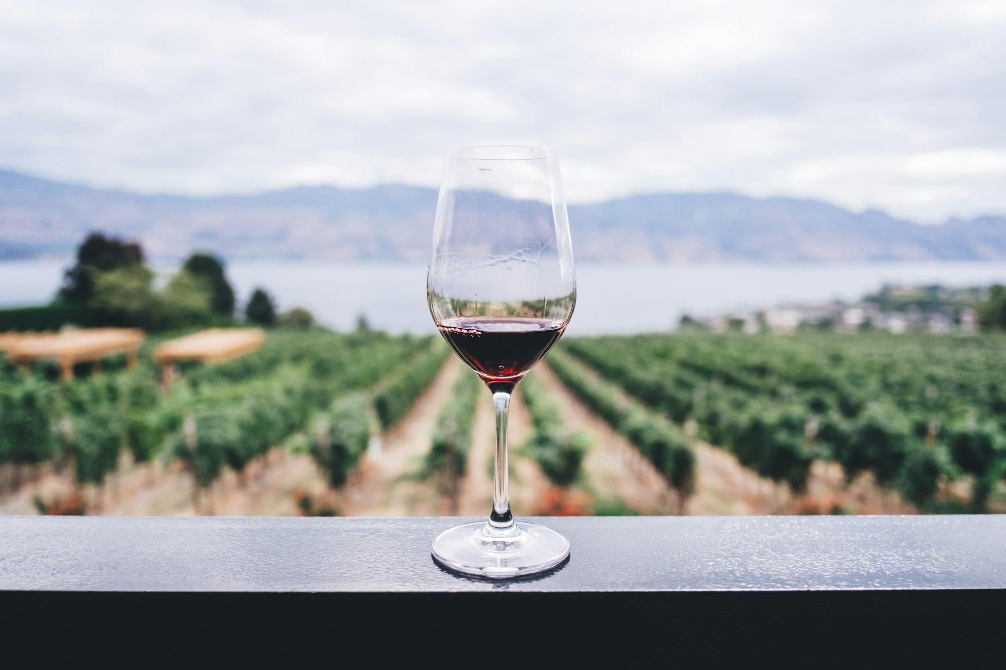 A glass of red wine on a ledge overlooking rows of vines