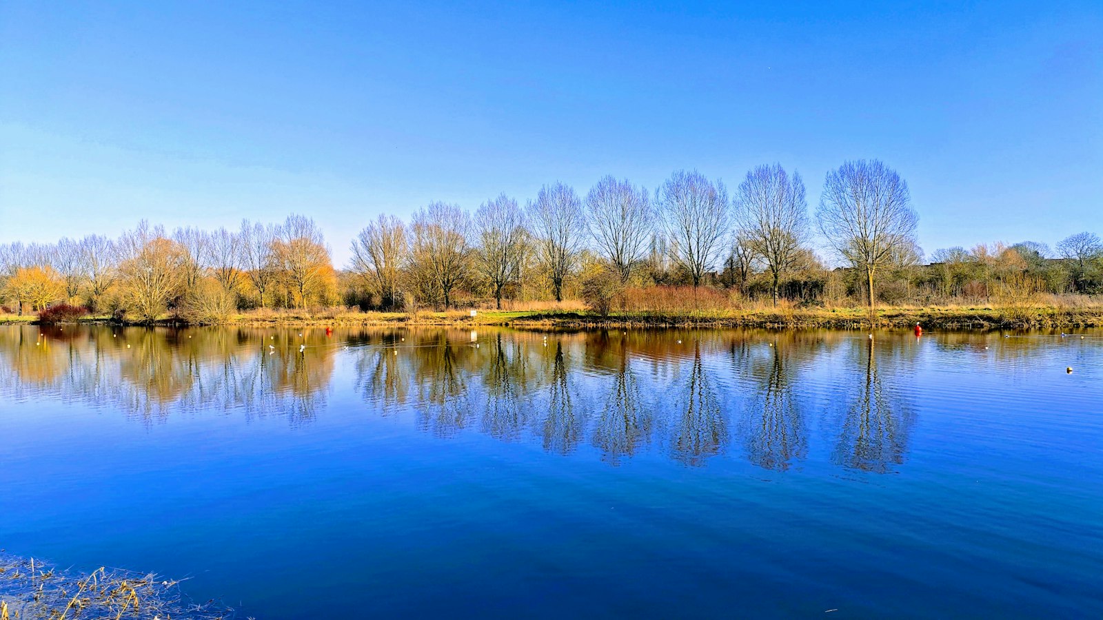 Calm water and bare trees near the Peterborough Rowing Club in Peterborough, Ontario