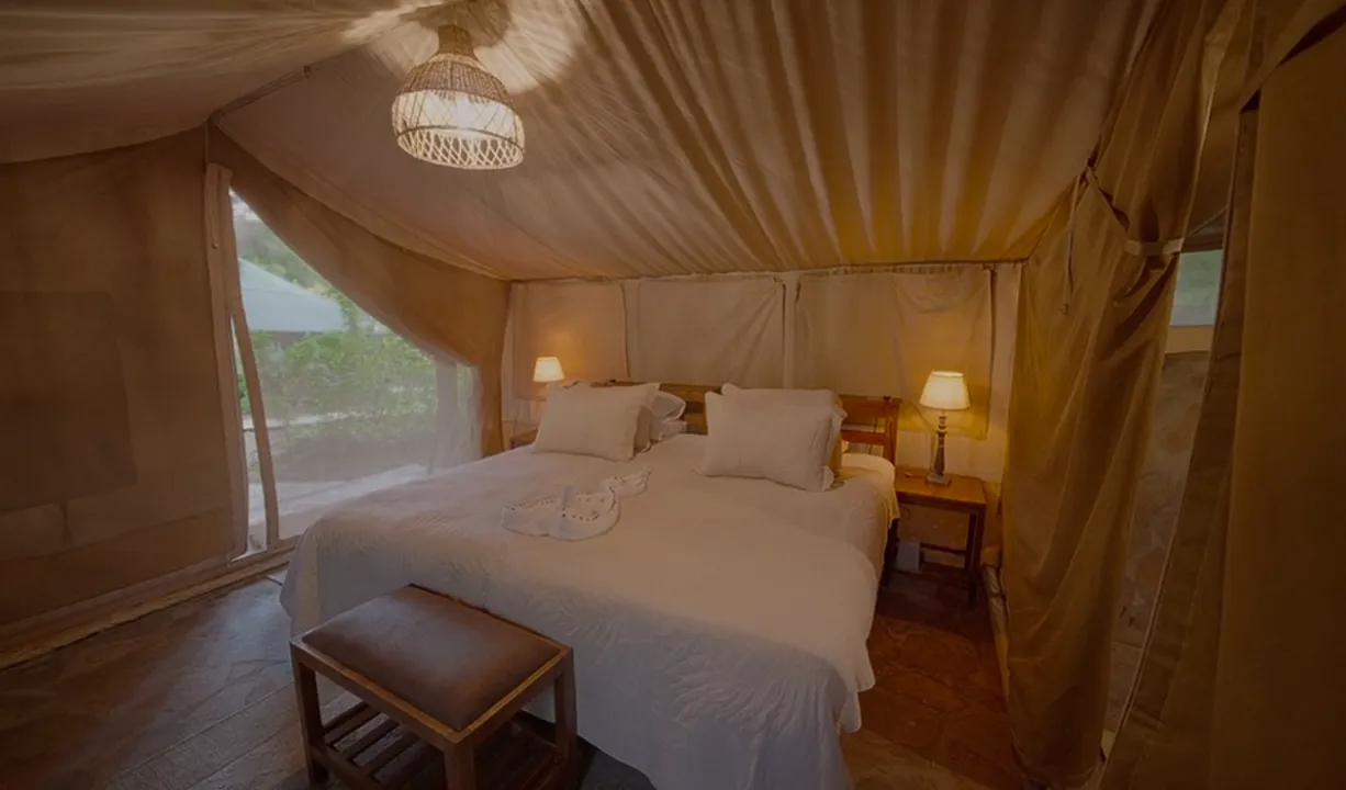 Kenya, Maasai Mara experience video