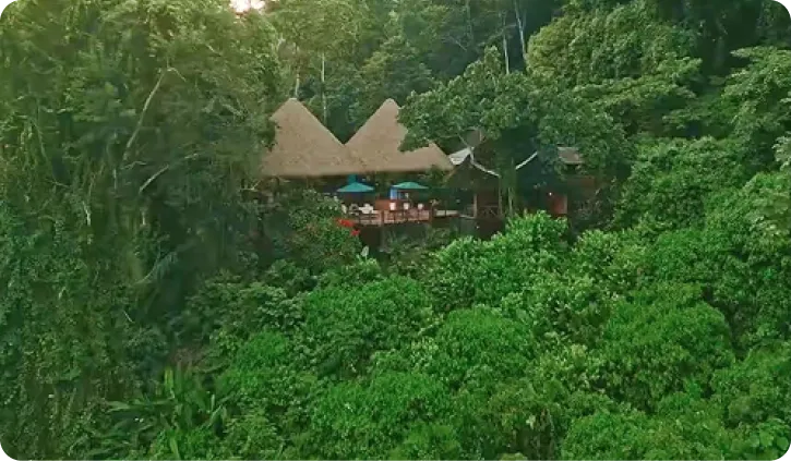 Treetop lodge in the Ecuadorian Amazon rainforest