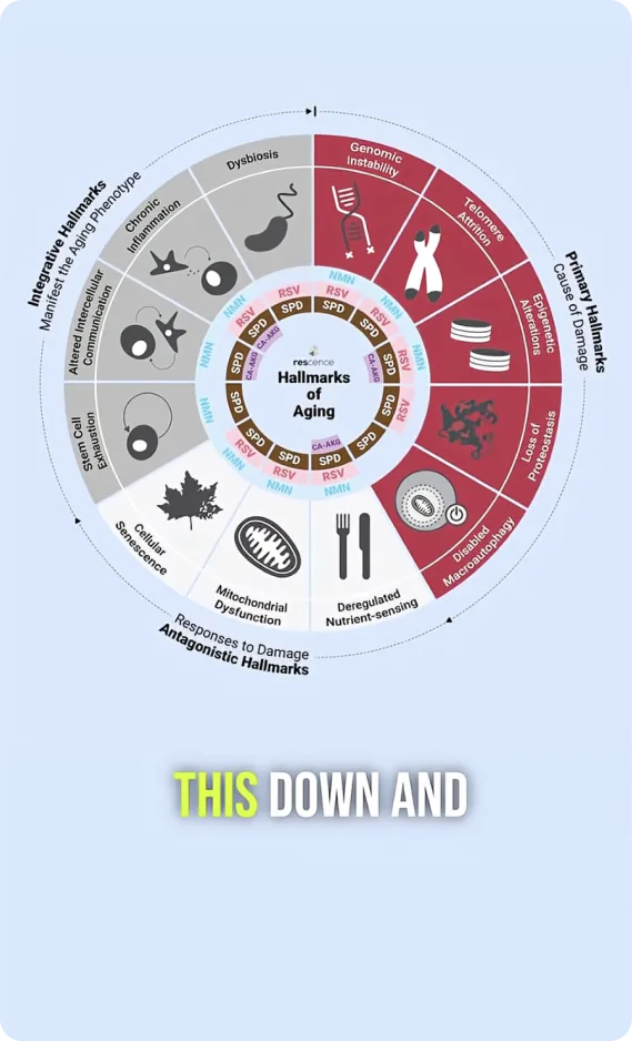 Video thumbnail: Are your cells secretly sabotaging your longevity?
