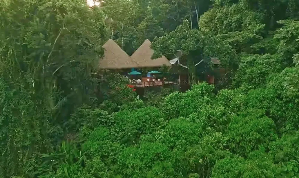 Rainforest lodge rising above the jungle canopy