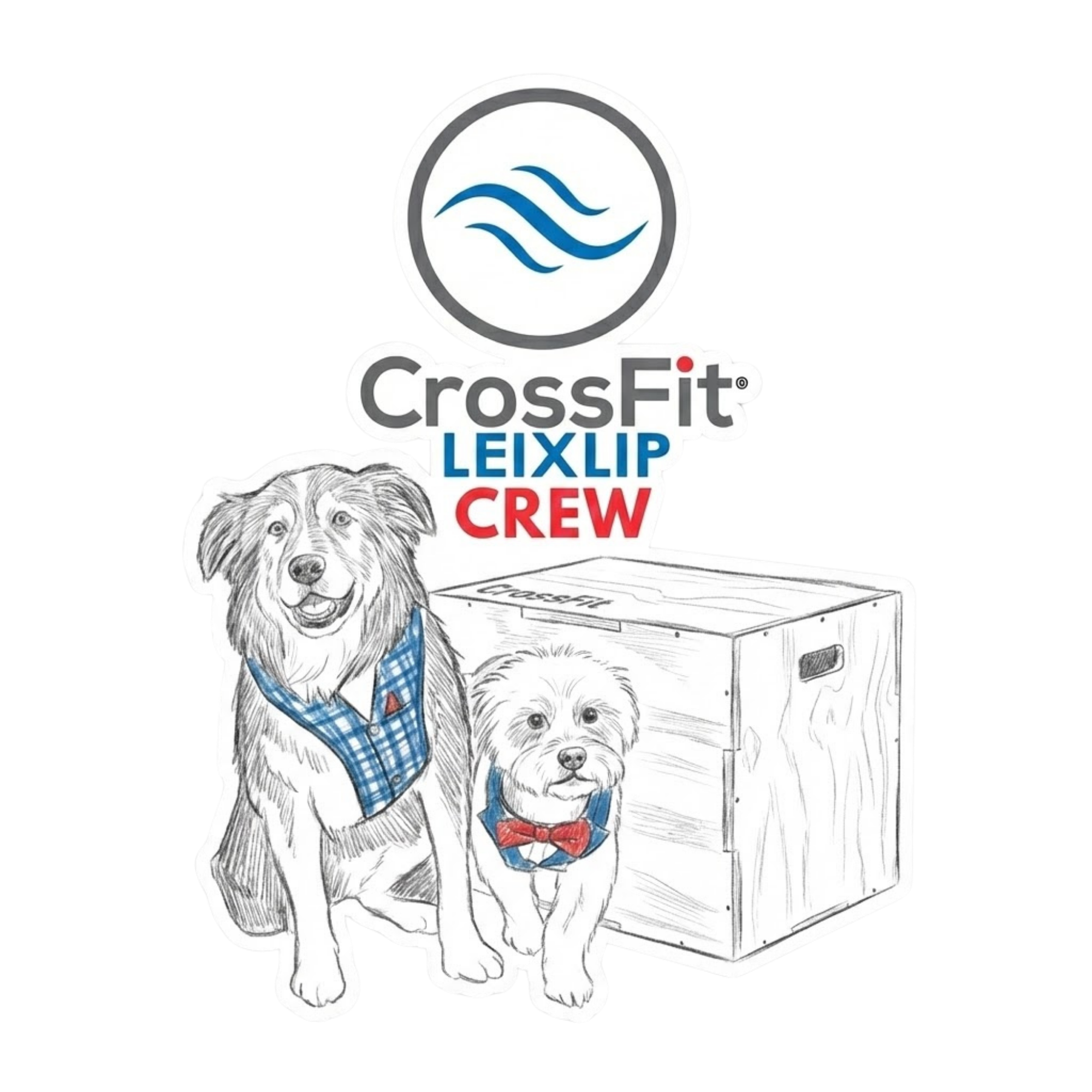 CrossFit Leixlip Crew