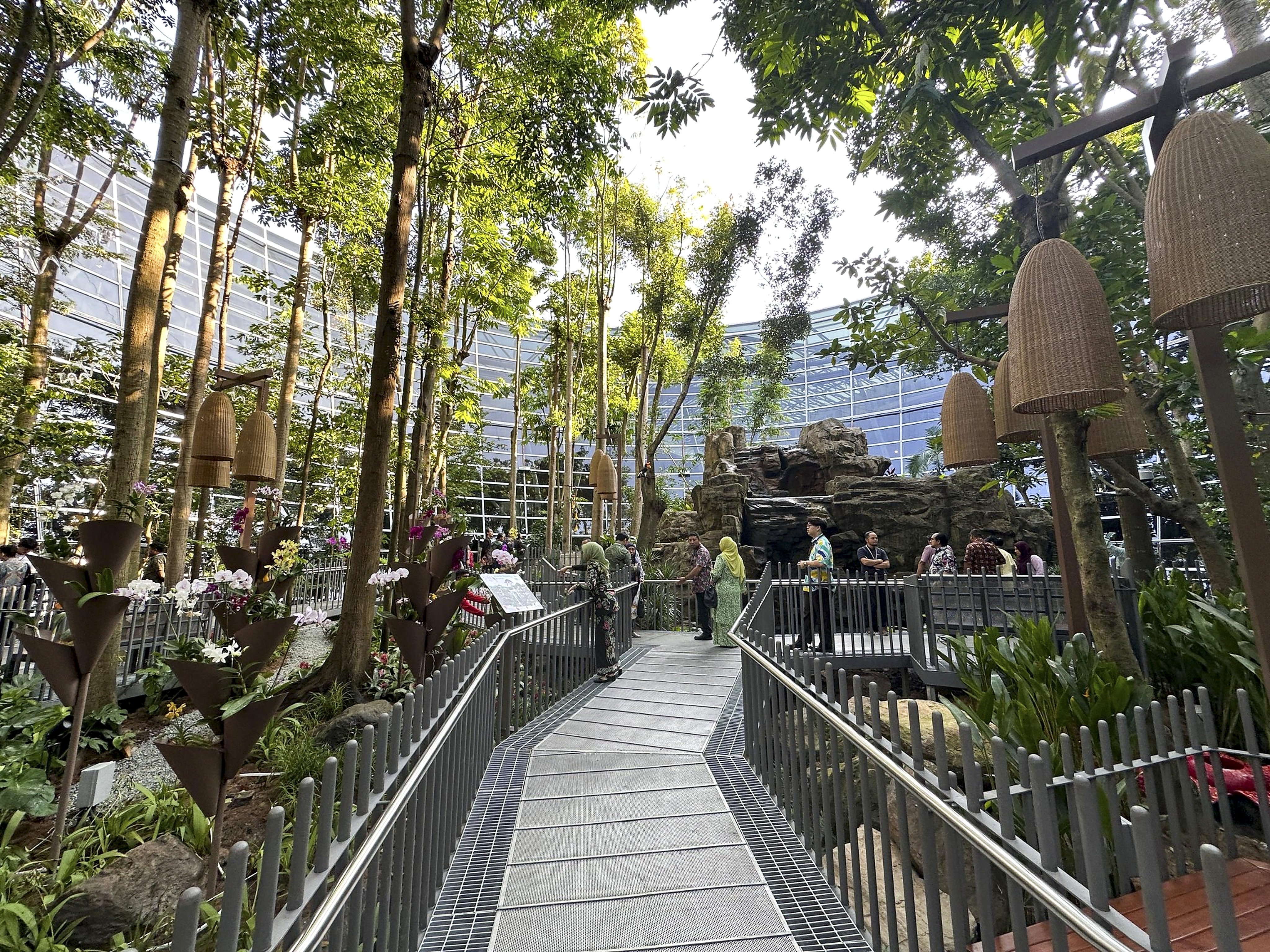 A path through the forest
