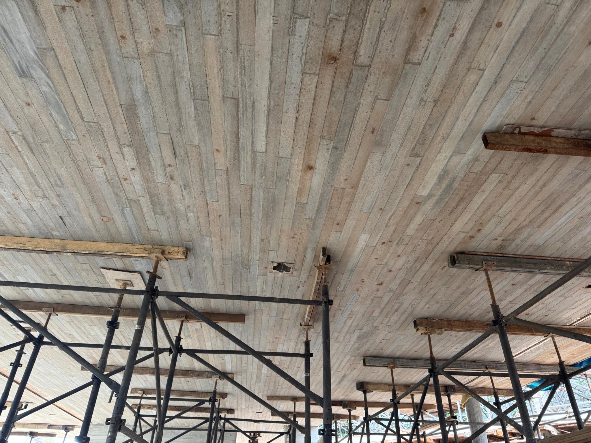 Board-formed concrete extends across the broad soffit, making the structural fabric part of the architectural finish.