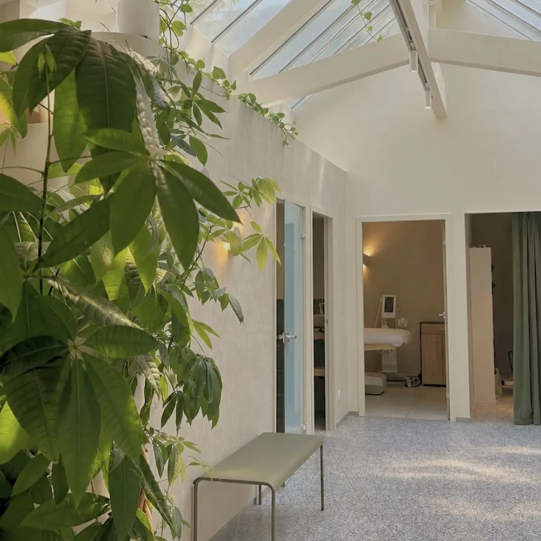 Le couloir du studio sous sa verrière, avec des plantes vertes, un banc et les portes des cabines de soin.
