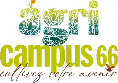 Agricampus 66