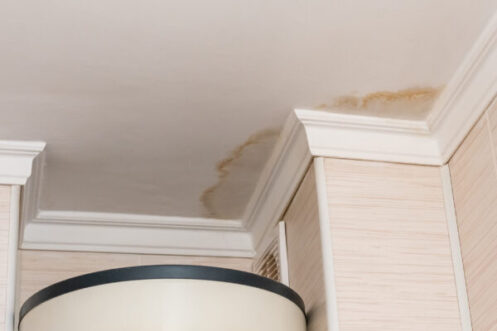 Proven Strategies for Removing Mold From Your Roof