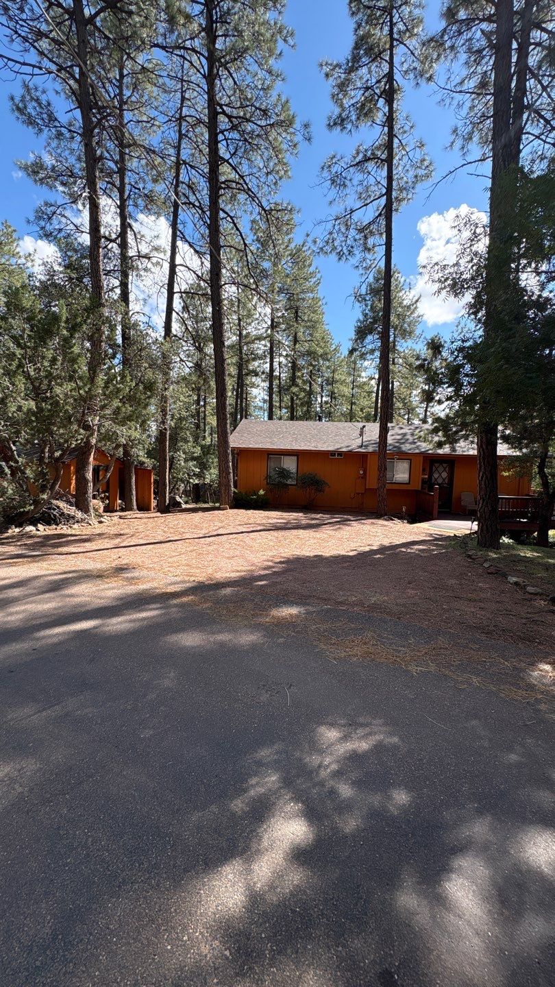 Shingle roof replacement in Pine, AZ