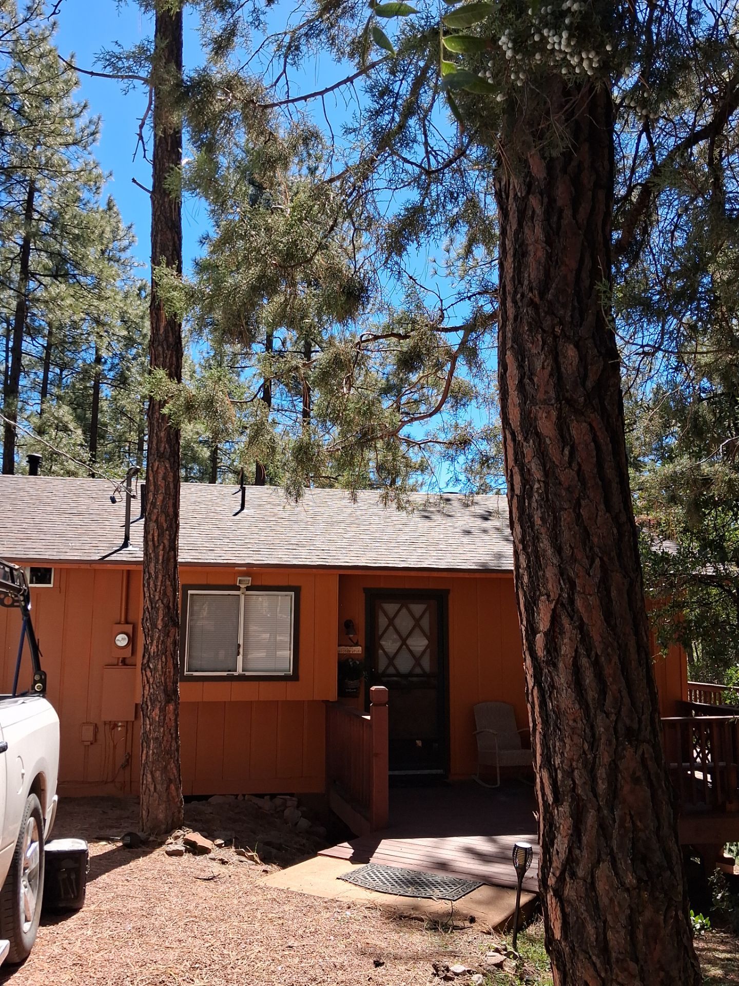 Roof repair in Pine, AZ