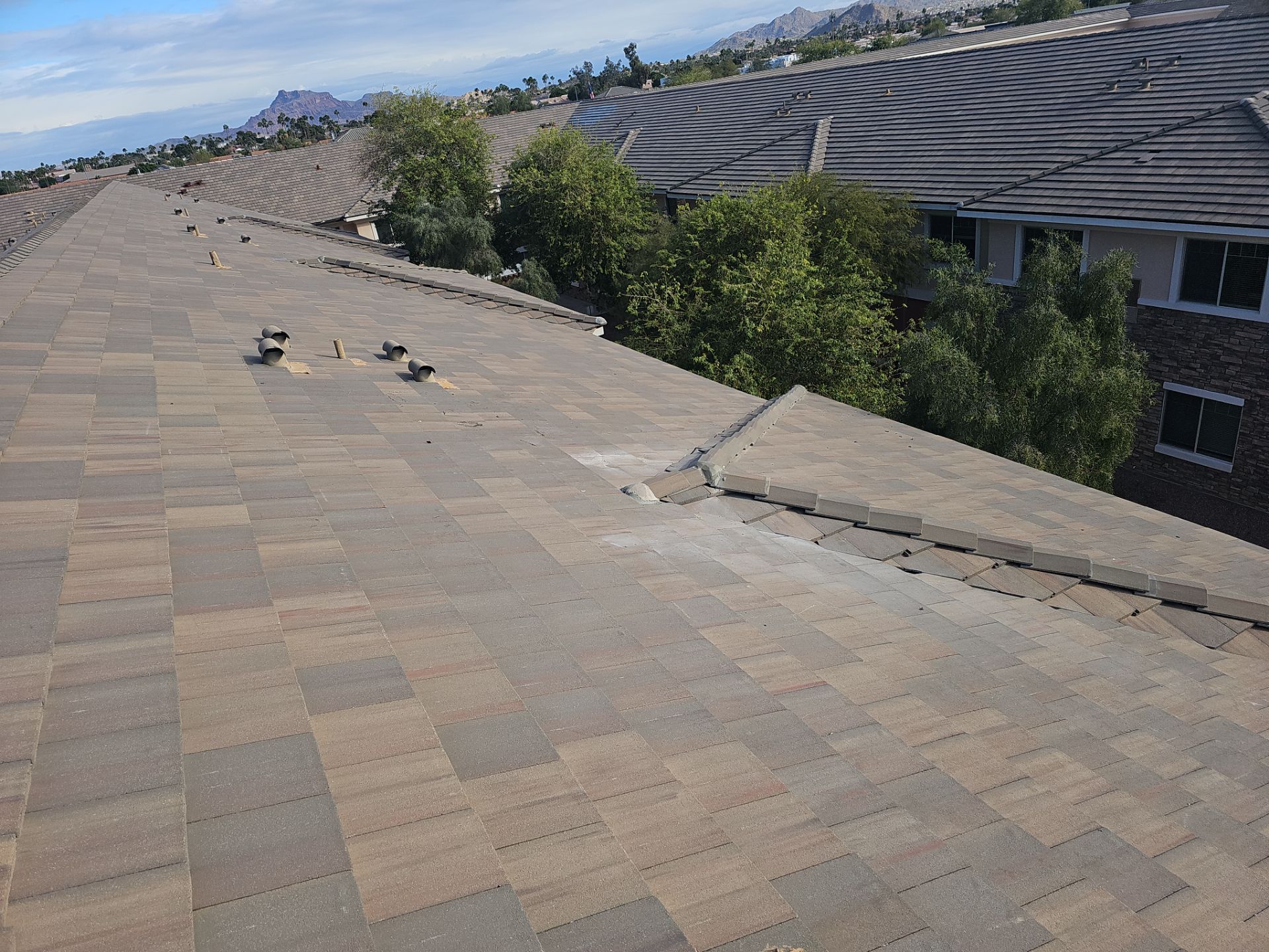 Commercial Roof Replacement with New Underlayment in Mesa, AZ