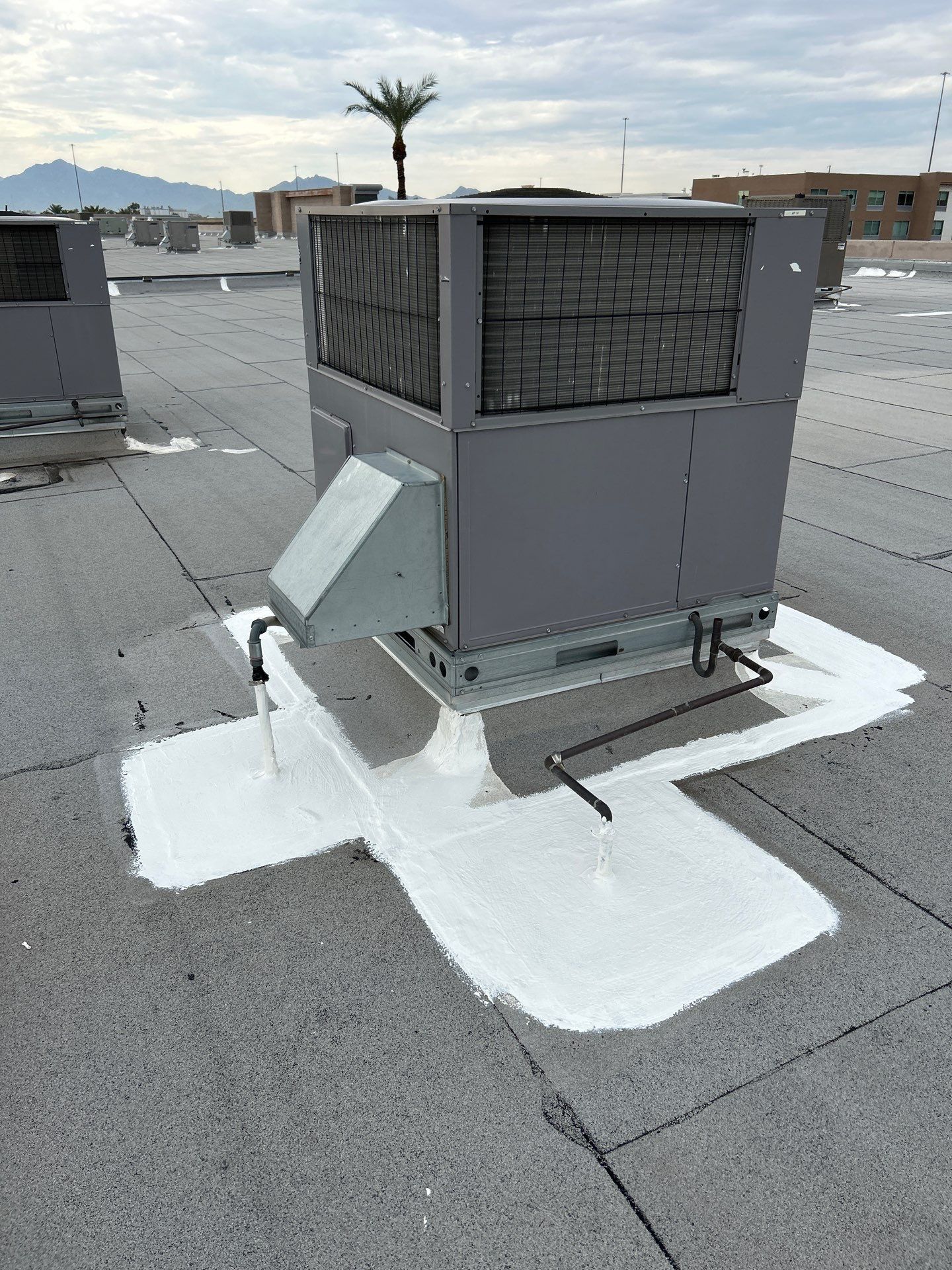 Commercial Shingle Roof Repair With Advanced Sealants In Phoenix, AZ