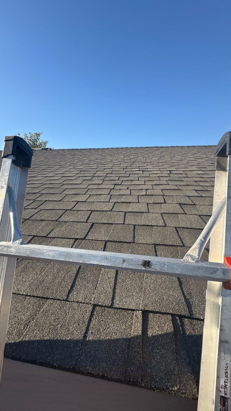 Modern Shingle Roof Replacement for Heat Resistance in Phoenix, AZ