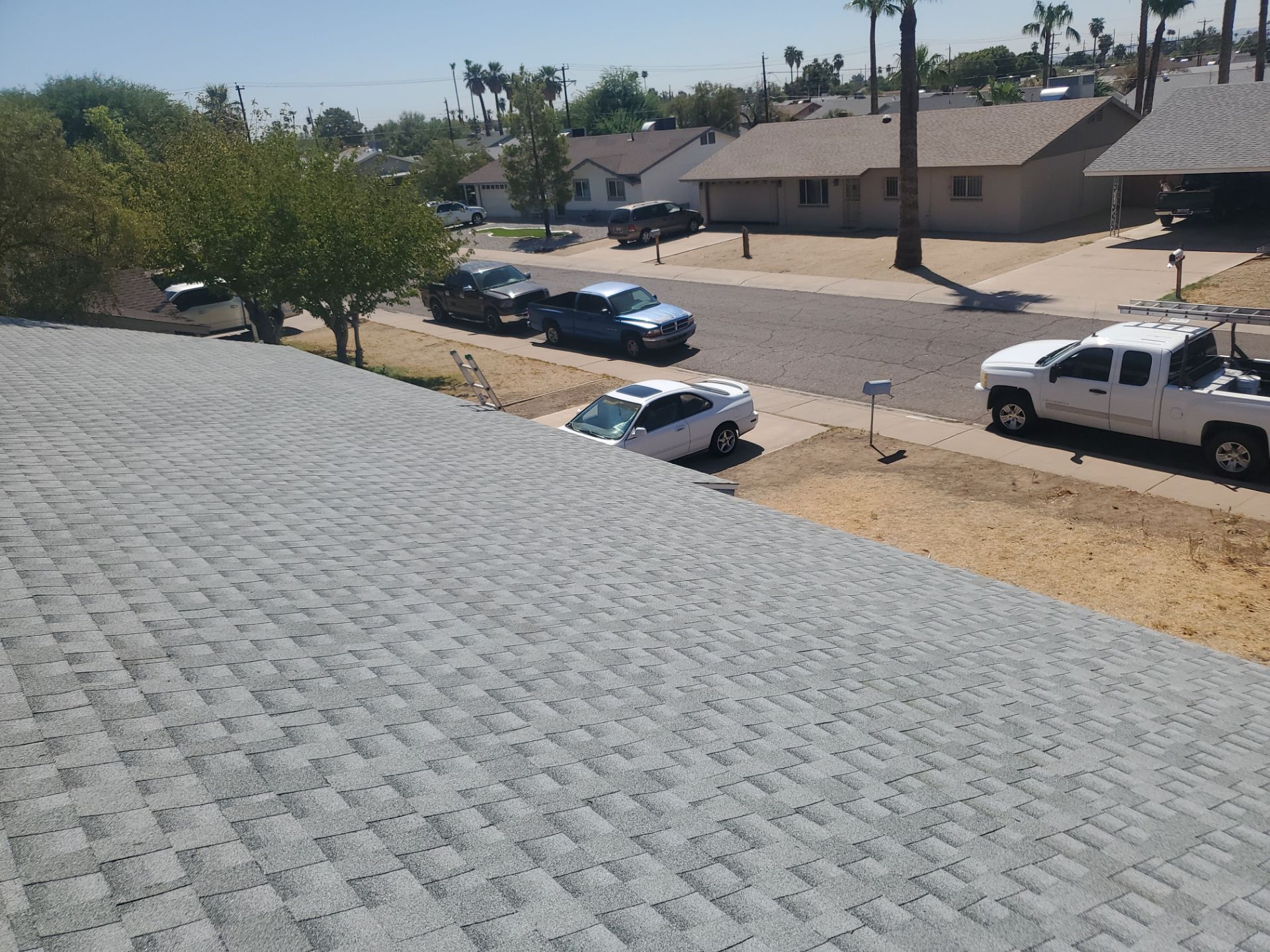 Shingle Roof Replacement with Durable Underlayment in Phoenix, AZ