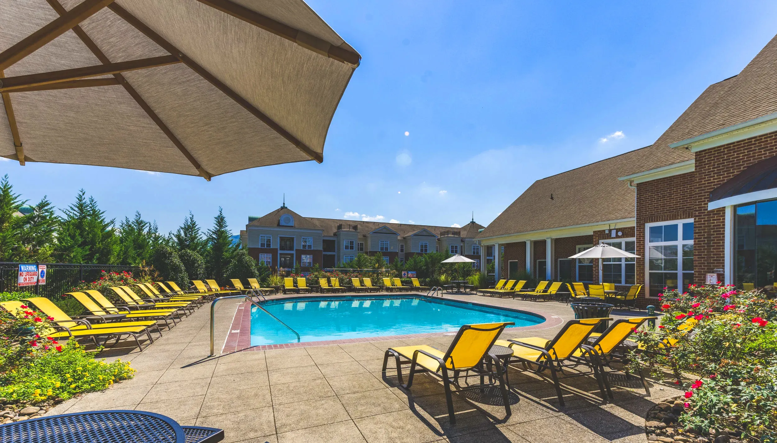 Outdoor pool and lounge
