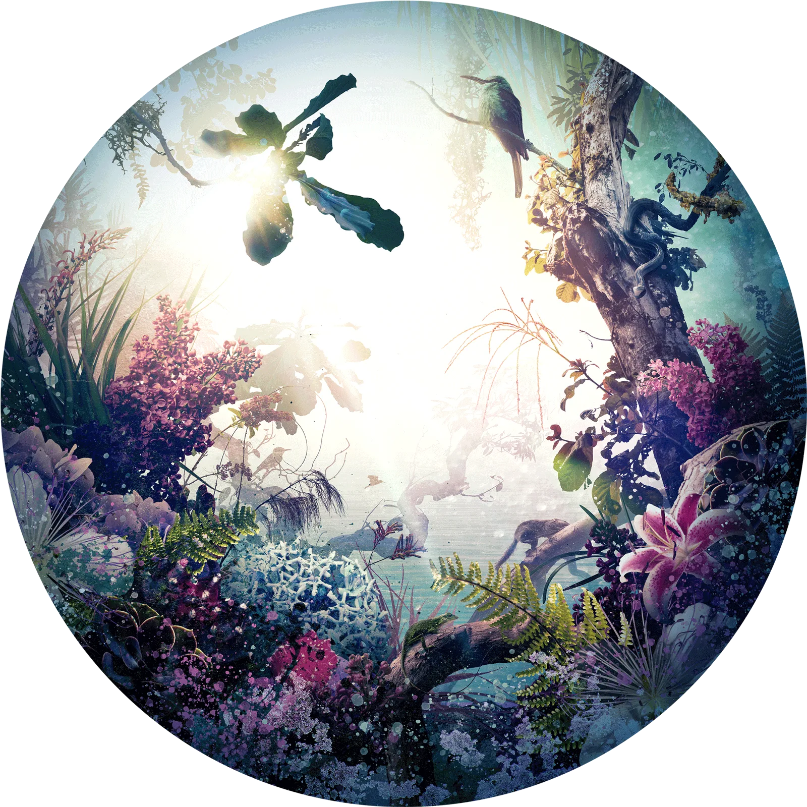 Nirvana (2019) by Jesper Krijgsman, a round artwork from the Circles of Life series