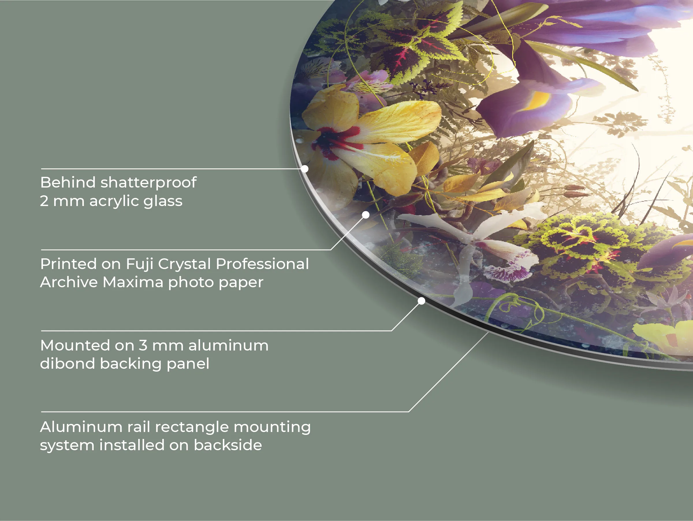Cross section of a Circles of Life print: acrylic glass, Fuji photo paper, aluminium Dibond and a rail mounting system