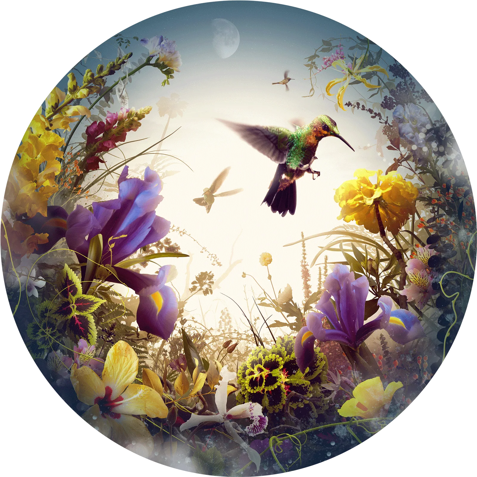 Paramour (2019) by Jesper Krijgsman, a round artwork from the Circles of Life series