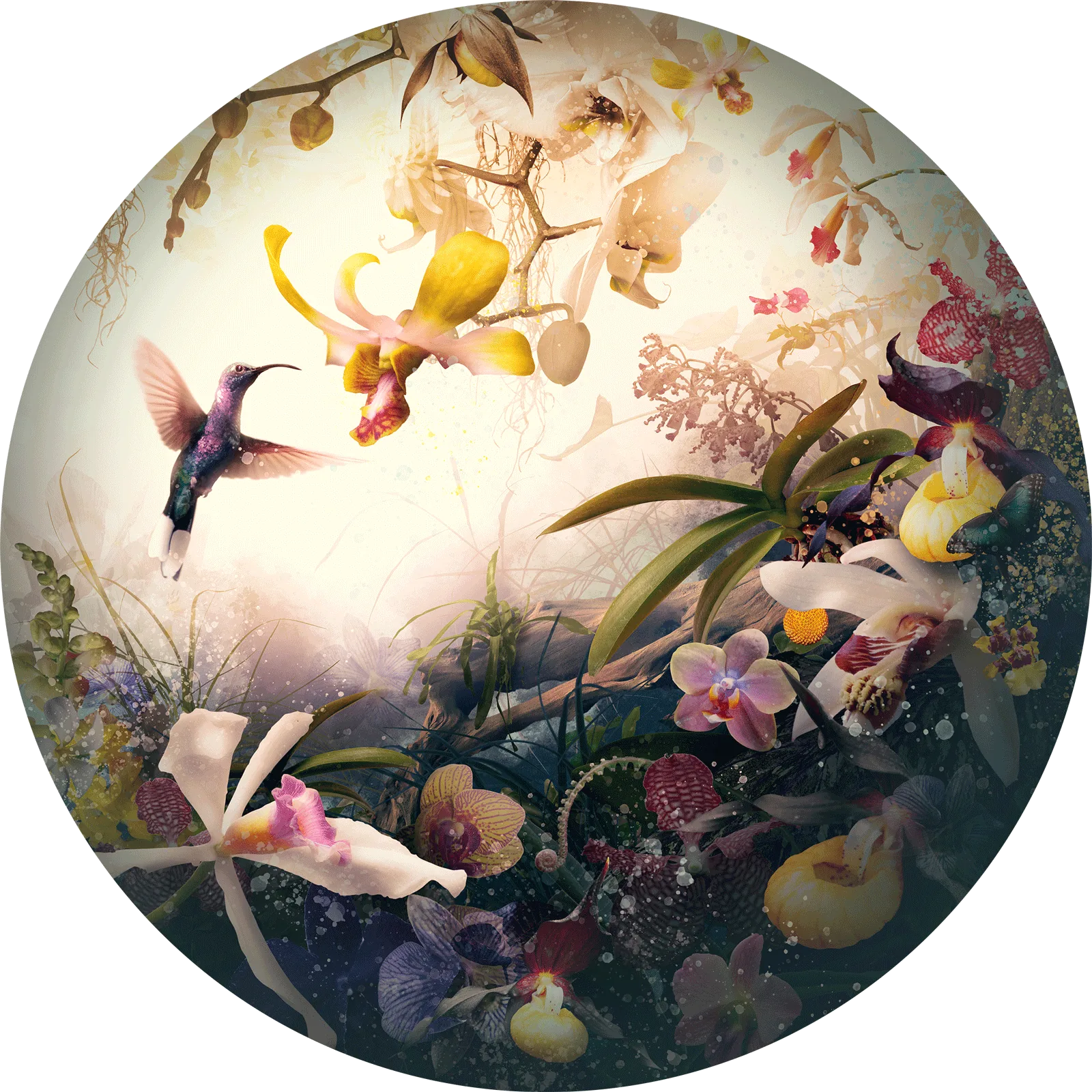 Splendour (2019) by Jesper Krijgsman, a round artwork from the Circles of Life series