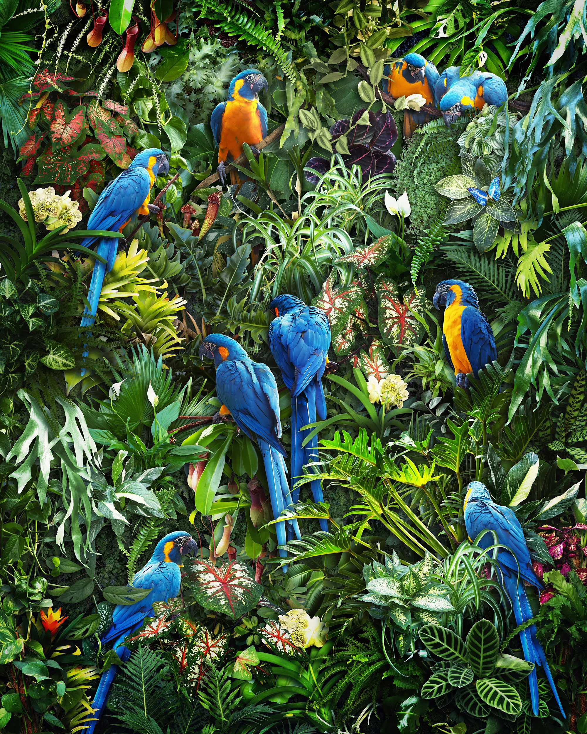 Lush Life