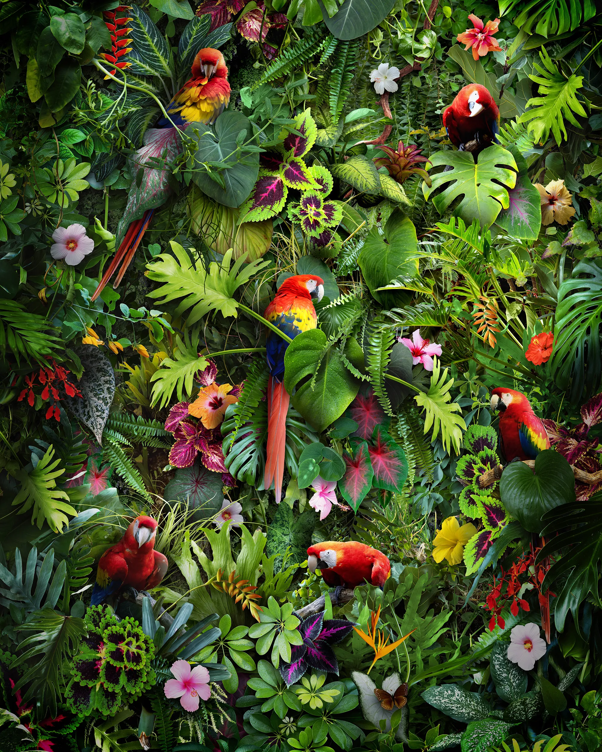 Lush Life II