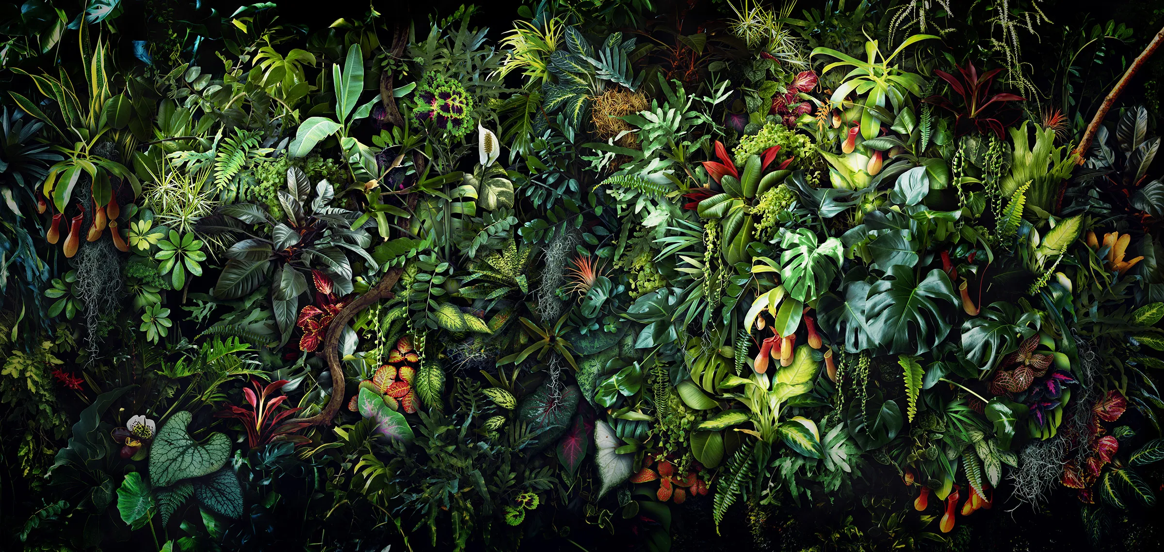 Lush Life III
