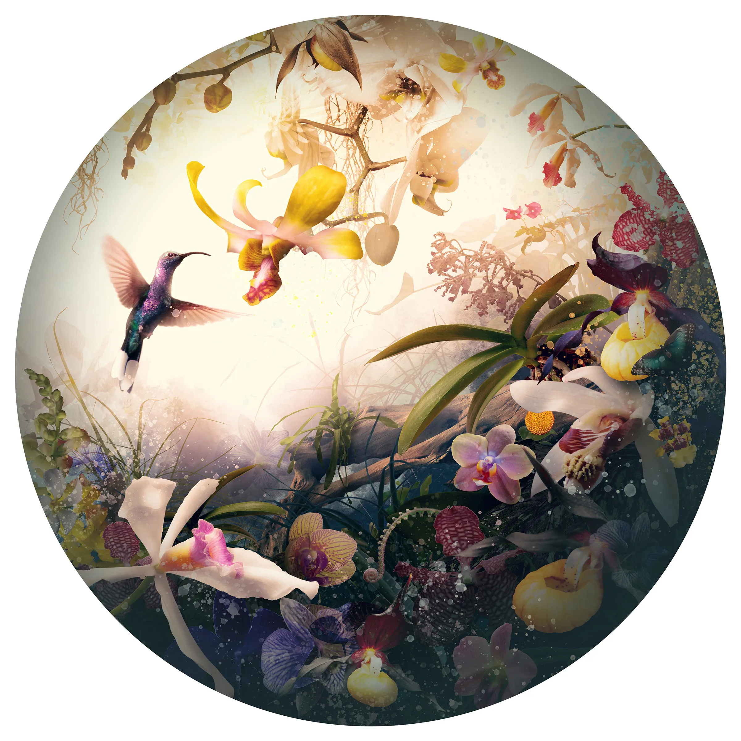 Splendour
